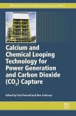 Calcium and Chemical Looping Technology for Power Generation and Carbon Dioxide (CO2) Capture (eBook, ePUB)