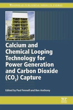 Calcium and Chemical Looping Technology for Power Generation and Carbon Dioxide (CO2) Capture (eBook, ePUB)
