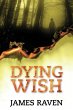 Dying Wish (eBook, ePUB) - Bild 1