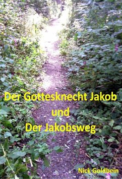 Der Jakobsknecht und der Jakobsweg (eBook, ePUB) - Goldbein, Nick