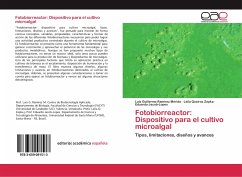 Fotobiorreactor: Dispositivo para el cultivo microalgal - Ramírez Mérida, Luis Guillermo;Queiroz Zepka, Leila;Jacob-Lopes, Eduardo