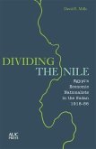 Dividing the Nile (eBook, PDF)
