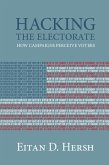 Hacking the Electorate (eBook, ePUB)