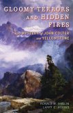 Gloomy Terrors and Hidden Fires (eBook, ePUB)