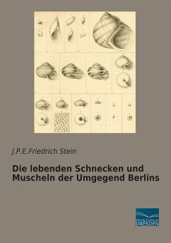 Die lebenden Schnecken und Muscheln der Umgegend Berlins - Stein, J.P.E.Friedrich