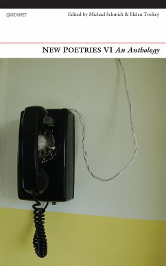 New Poetries VI (eBook, ePUB)