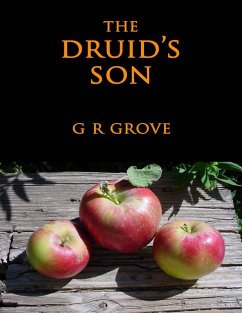 Cover The Druid's Son (eBook, ePUB)