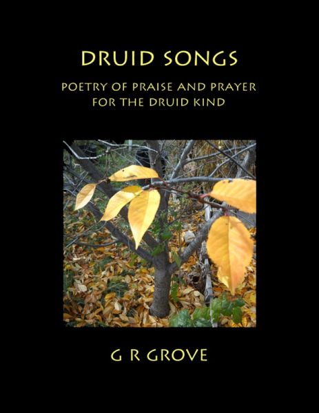 Druid Songs: Poetry of Prayer and Praise for the Druid Kind (eBook, ePUB) Druid Songs: Poetry of Prayer and Praise for the Druid Kind (eBook, ePUB)