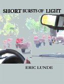 Short Burst of Light (eBook, ePUB)