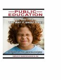 Public Education: Servant of the Underachiever (eBook, ePUB) Public Education: Servant of the Underachiever (eBook, ePUB)