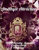 Amethyst Attraction (eBook, ePUB)