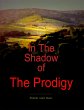 In the Shadow of the Prodigy (eBook,... - Bild 1