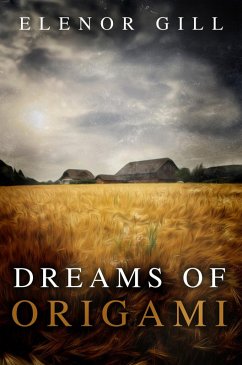 Cover Dreams of Origami (eBook, ePUB)
