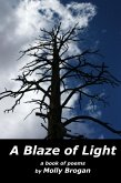 A Blaze of Light: A Book of Poems (eBook, ePUB)