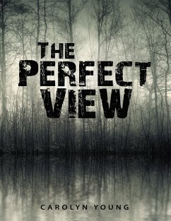The Perfect View (eBook, ePUB) - Young, Carolyn