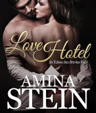 Love Hotel (eBook, ePUB)
