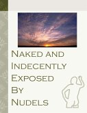 Naked & Indecently Exposed (eBook, ePUB)