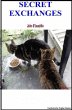 Secret Exchanges (eBook, ePUB) - Bild 1