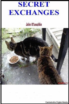 Cover Secret Exchanges (eBook, ePUB)