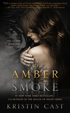 Cover Amber Smoke (eBook, ePUB)