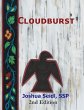 Cloudburst: 2nd Edition (eBook, ePUB) - Bild 1