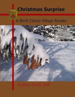 Cover Christmas Surprise: A Birch Clump Village Reader (eBook, ePUB)