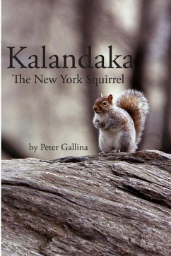 Kalandaka: The New York Squirrel (eBook, ePUB) - Gallina, Peter