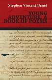 Young Adventure, a Book of Poems (eBook, ePUB)