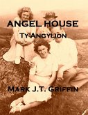 Angel House (eBook, ePUB)