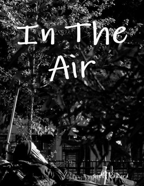 In the Air (eBook, ePUB)