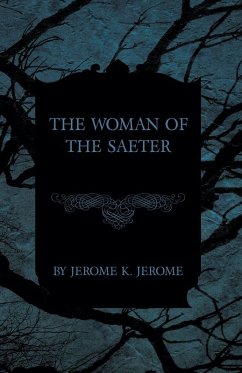 Cover The Woman of the Saeter (eBook, ePUB)