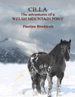 Cover Cilla: The Adventures of a Welsh Mountain Pony (eBook, ePUB)