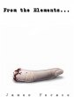 From the Elements... (eBook, ePUB) - Bild 1
