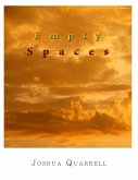 Empty Spaces (eBook, ePUB)