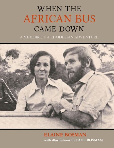 When the African Bus Came Down (eBook, ePUB) When the African Bus Came Down (eBook, ePUB)