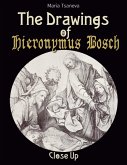 The Drawings of Hieronymus Bosch: Close Up (eBook, ePUB)
