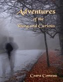Adventures of the Young and Curious (eBook, ePUB)