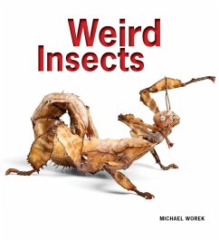 Cover Weird Insects (eBook, ePUB)