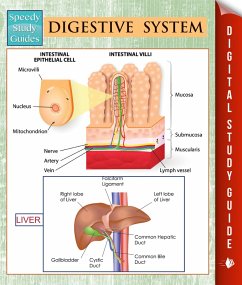 Cover Digestive System (Speedy Study Guides) (eBook, ePUB)