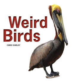 Cover Weird Birds (eBook, ePUB)