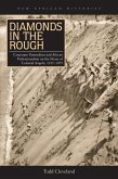 Diamonds in the Rough (eBook, ePUB)