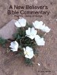A New Believer's Bible Commentary:... - Bild 1