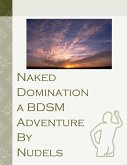 Naked Domination a BDSM Adventure (eBook, ePUB)