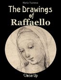The Drawings of Raffaello: Close Up (eBook, ePUB)