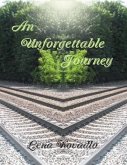 An Unforgettable Journey (eBook, ePUB)