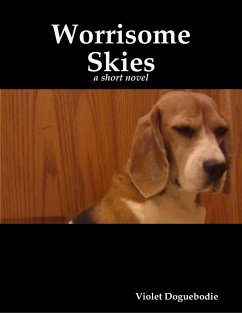 Cover Worrisome Skies (eBook, ePUB)