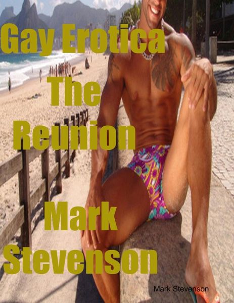 Gay Erotica the Reunion (eBook, ePUB)