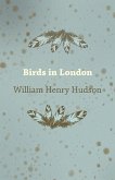 Birds in London (eBook, ePUB)