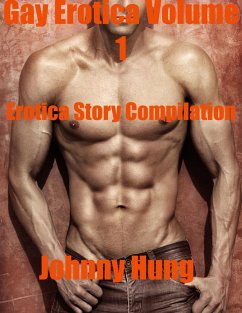 Gay Erotica Volume 1 Erotica Story Compilation (eBook, ePUB) - Wilke, Jessie