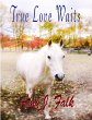 True Love Waits (eBook, ePUB) - Bild 1